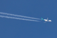 EI-DVH